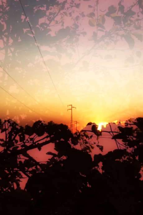 Variations on a Landscape
